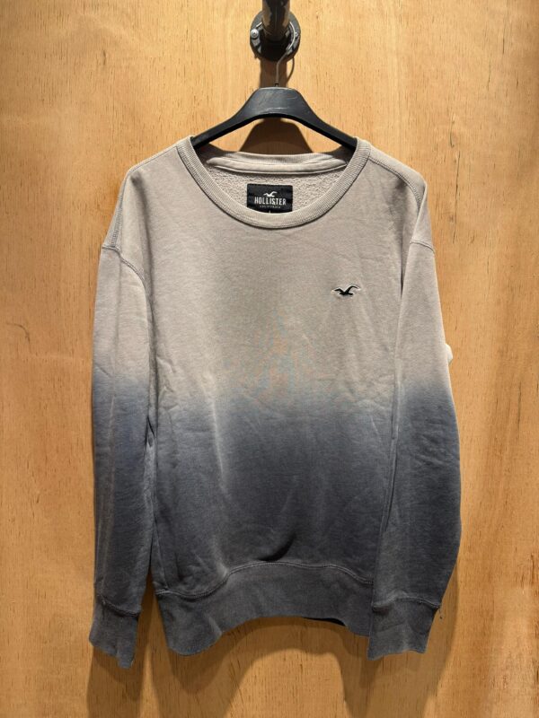 Buzo Hollister - Imagen 2