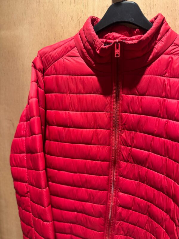 Campera Santa Barbara - Imagen 3